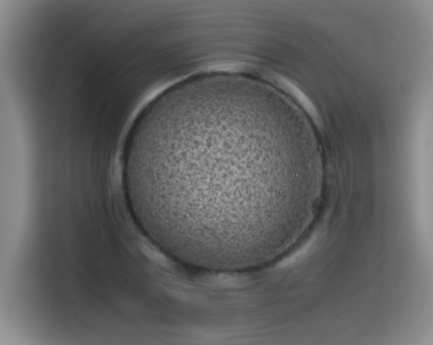 X0000113910779200910011448