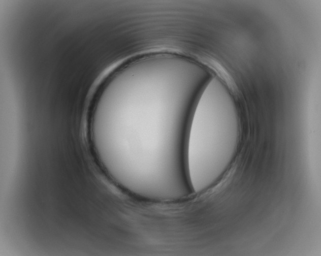 X0000113910780200910011448