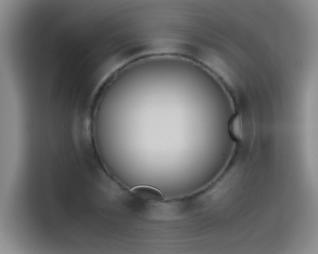 X0000113910781200910011448