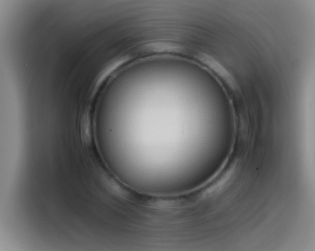 X0000113910782200910011448