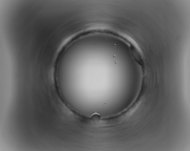 X0000113910783200910011448