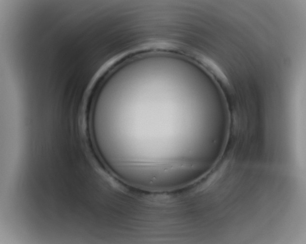 X0000113910784200910011448