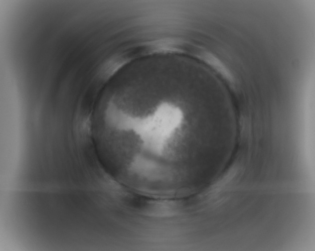 X0000113910785200910011448