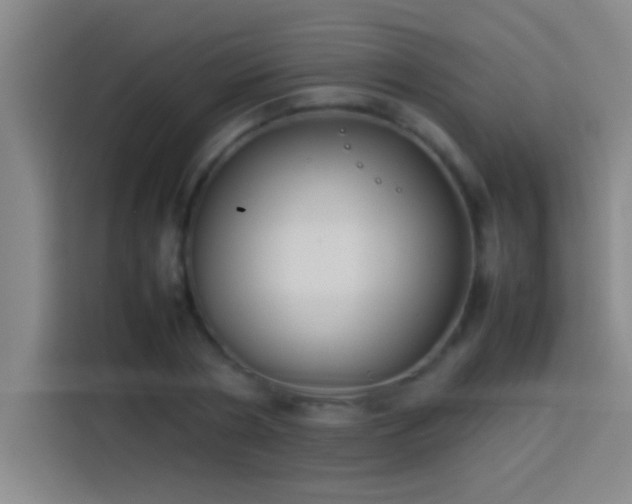 X0000113910786200910011448