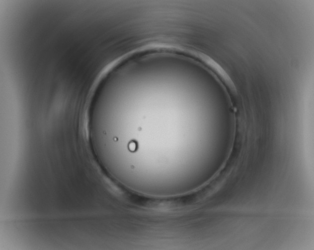 X0000113910791200910011448