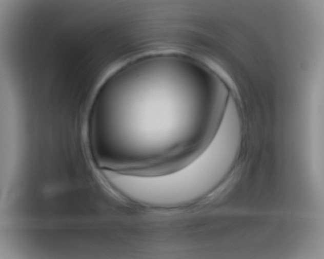 X0000113910797200910011448