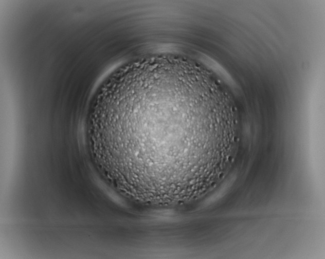 X0000113910798200910011448