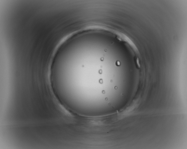 X0000113910799200910011448