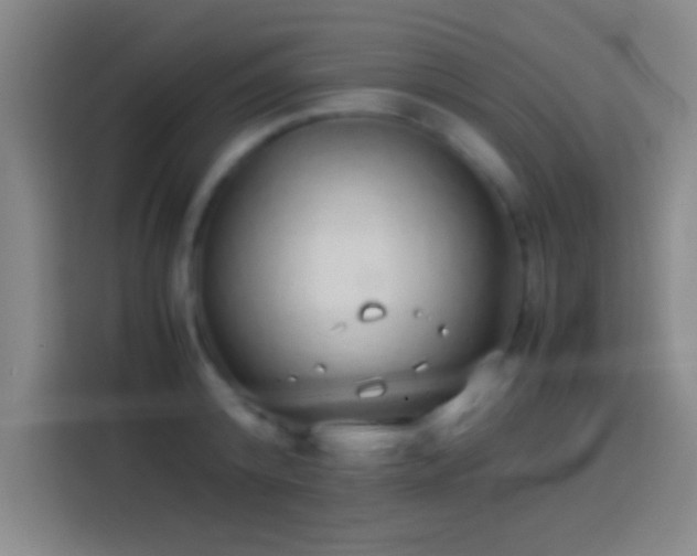 X0000113910800200910011448