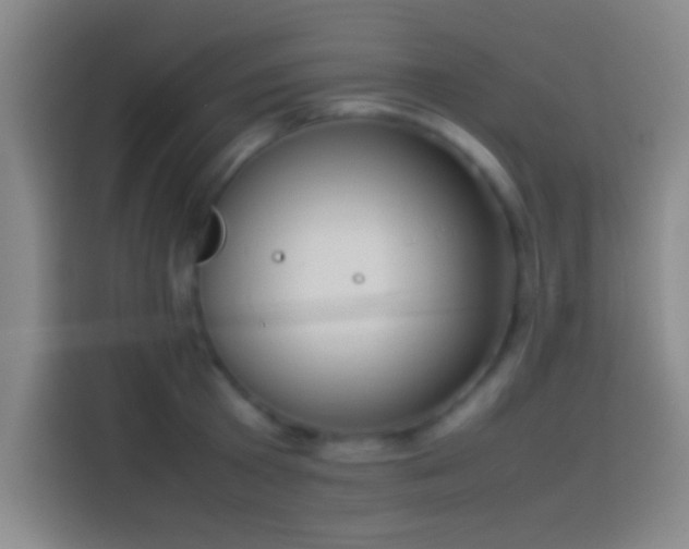 X0000113910801200910011448