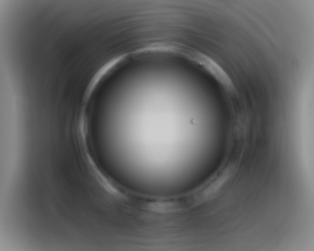 X0000113910804200910011447