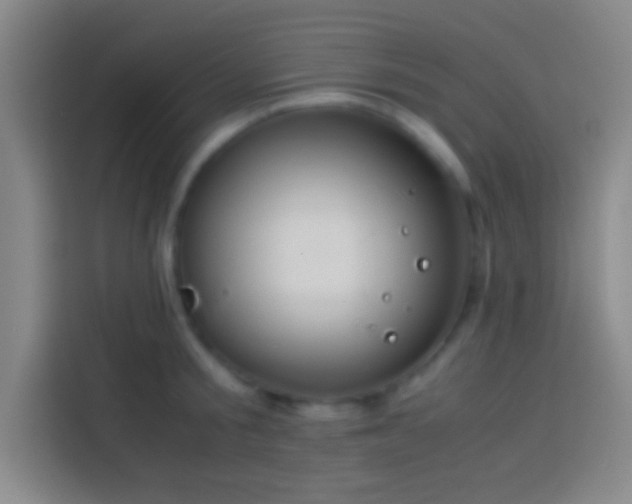 X0000113910805200910011447