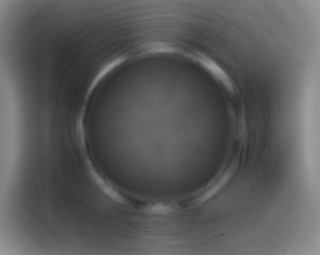 X0000113910806200910011447