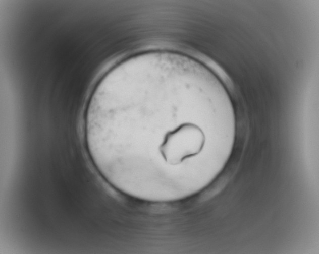 X0000113910807200910011447