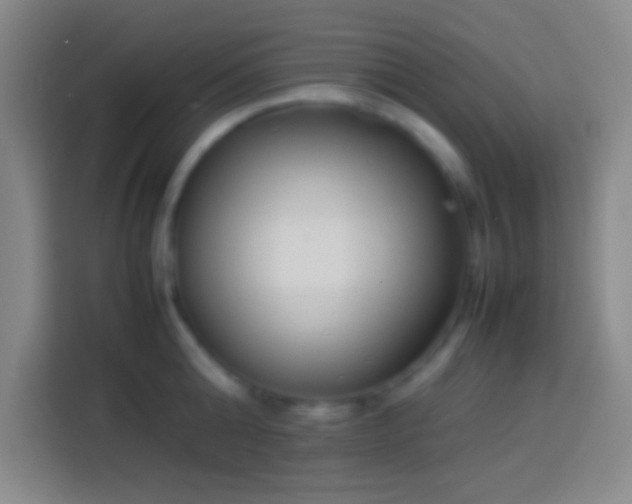 X0000113910808200910011447