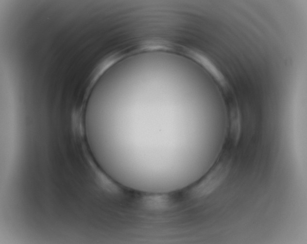 X0000113910810200910011447