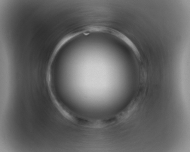 X0000113910811200910011447