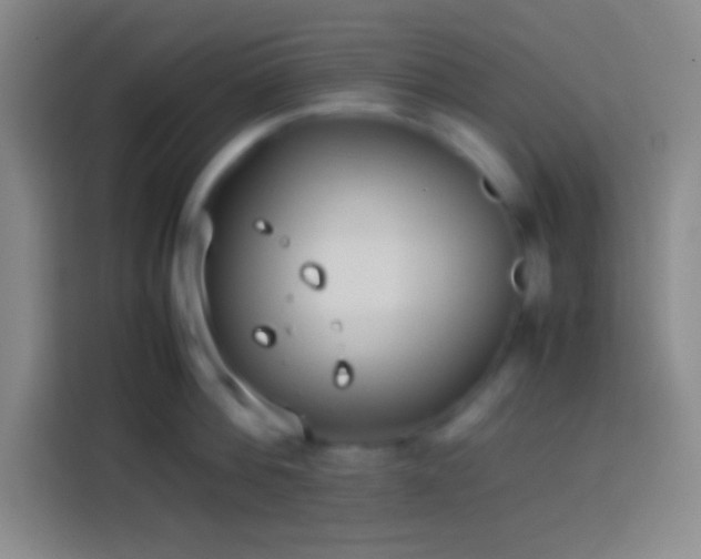 X0000113910812200910011447