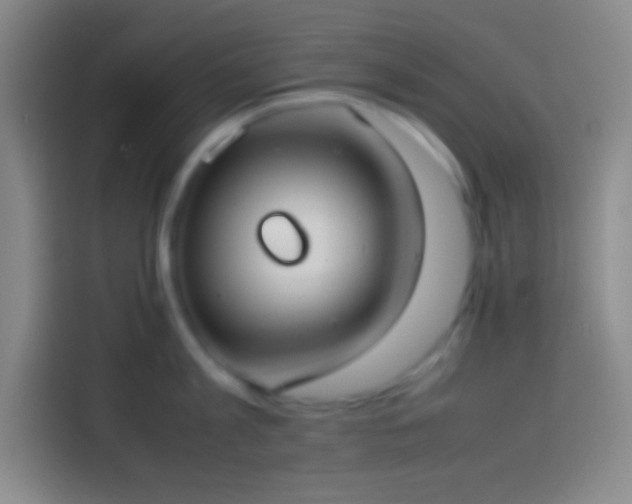 X0000113910813200910011447