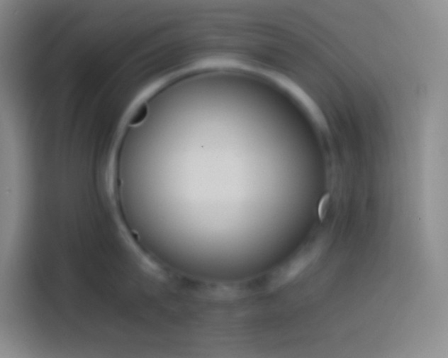 X0000113910815200910011447