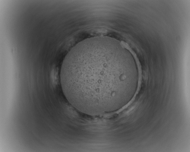 X0000113910818200910011447