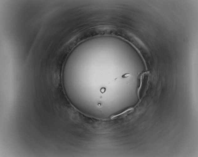 X0000113910821200910011447