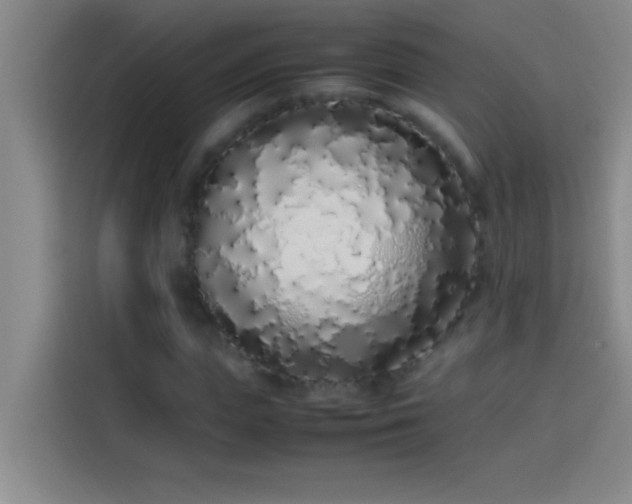 X0000113910823200910011447