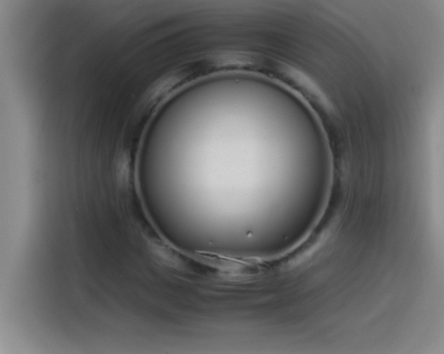 X0000113910825200910011447