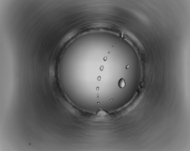 X0000113910826200910011447