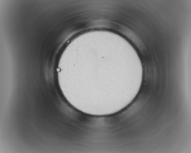 X0000113910828200910011447