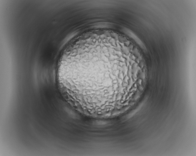 X0000113910829200910011447