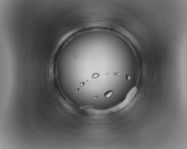 X0000113910830200910011447