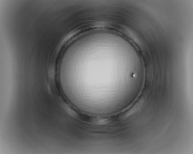 X0000113910831200910011447