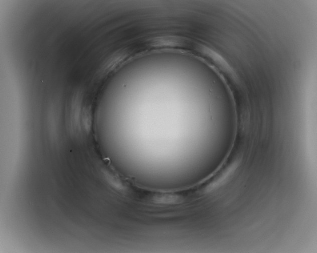 X0000113910833200910011447