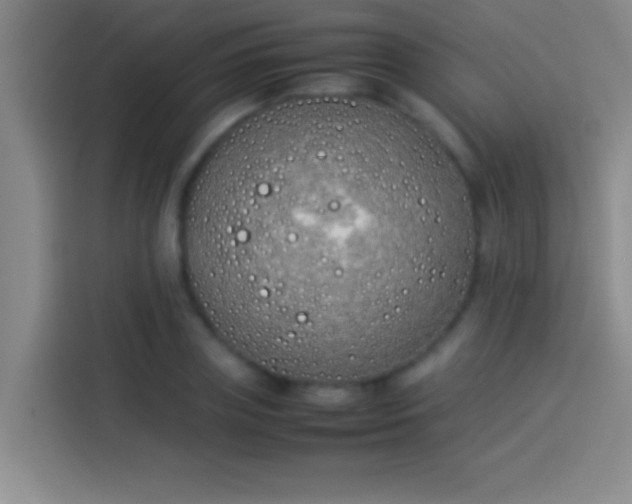 X0000113910835200910011447