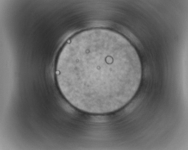 X0000113910836200910011447