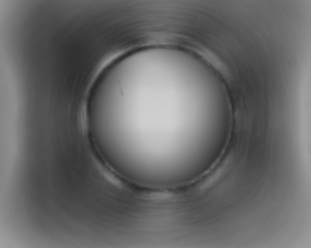 X0000113910838200910011447