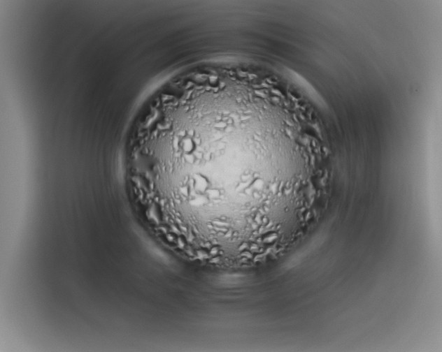 X0000113910839200910011447