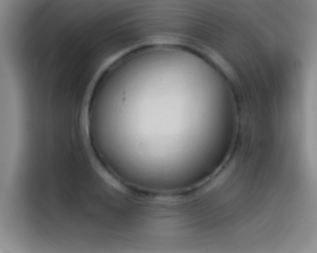 X0000113910840200910011447