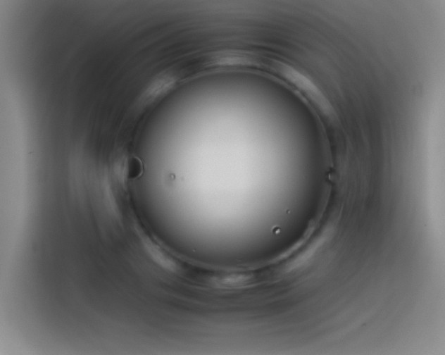 X0000113910841200910011447