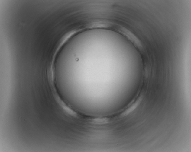 X0000113910844200910011447