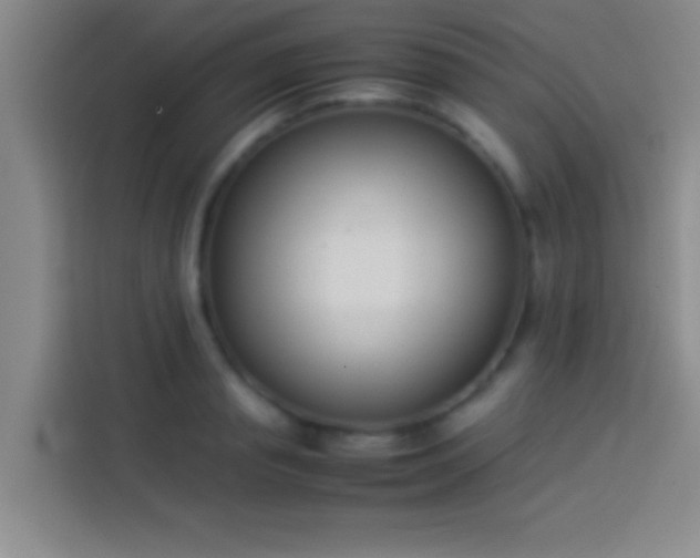 X0000113910845200910011447