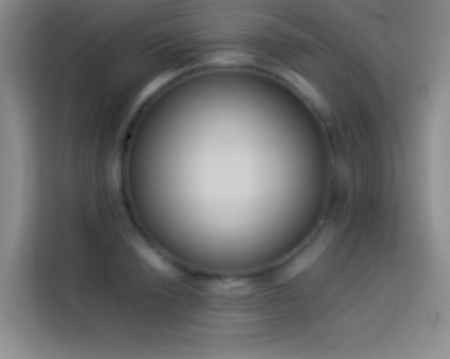 X0000113910846200910011447