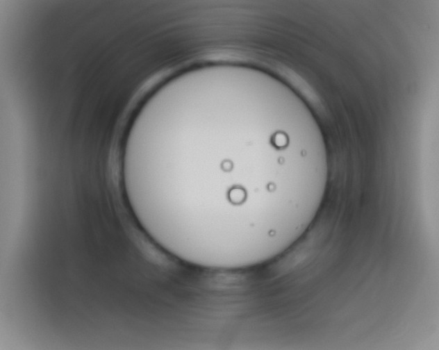 X0000113910848200910011447