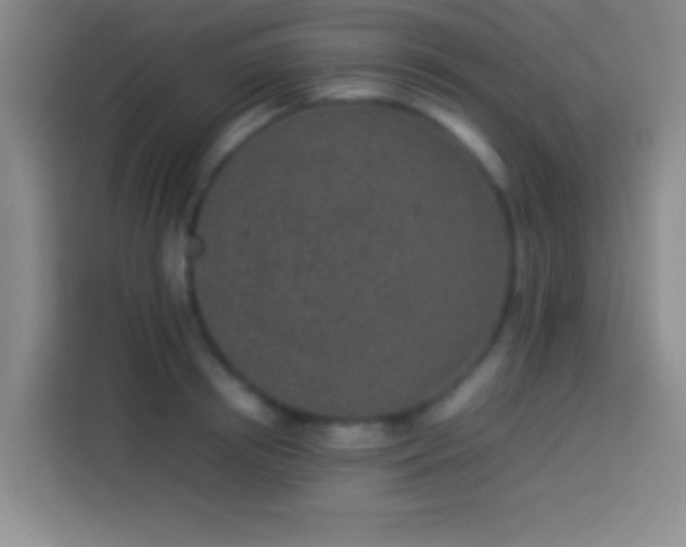 X0000113910850200910011447