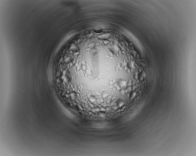 X0000113910851200910011447