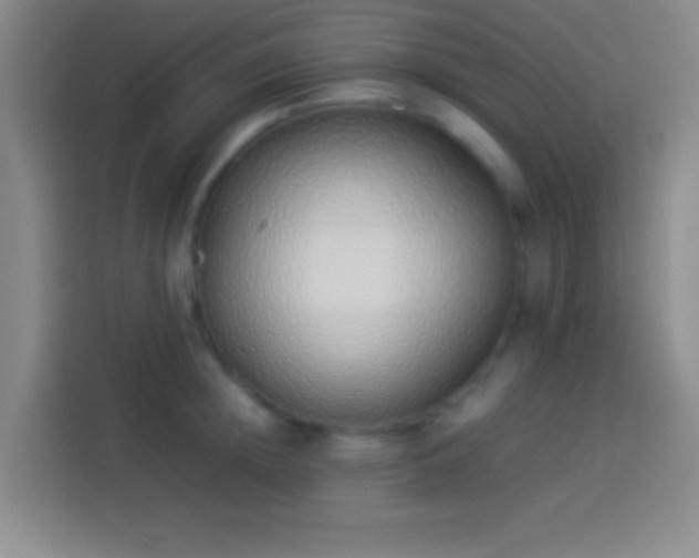 X0000113910852200910011447