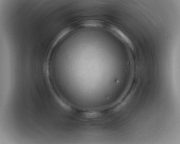 X0000113910853200910011447