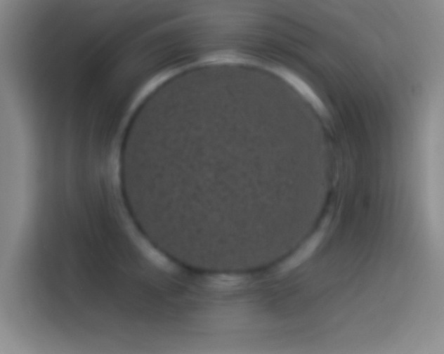 X0000113910854200910011447