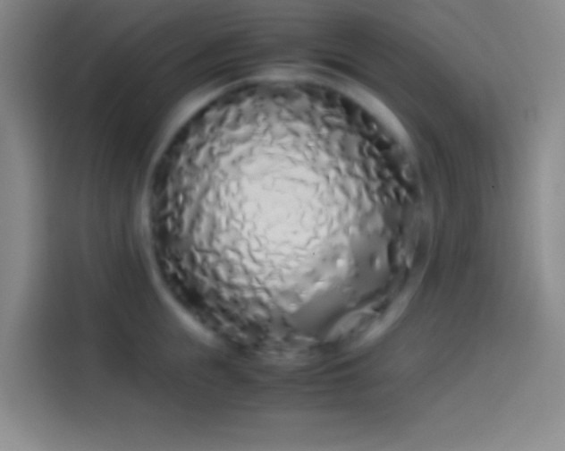 X0000113910855200910011447